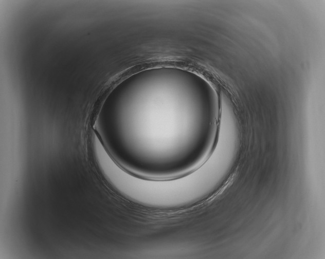 X0000102281161200808081456