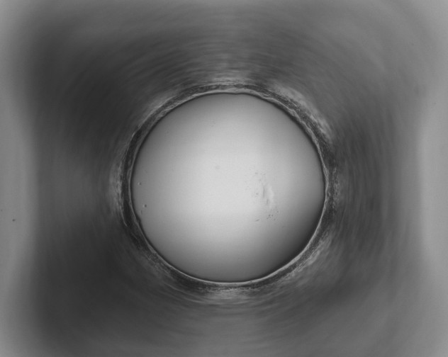 X0000102281162200808081456