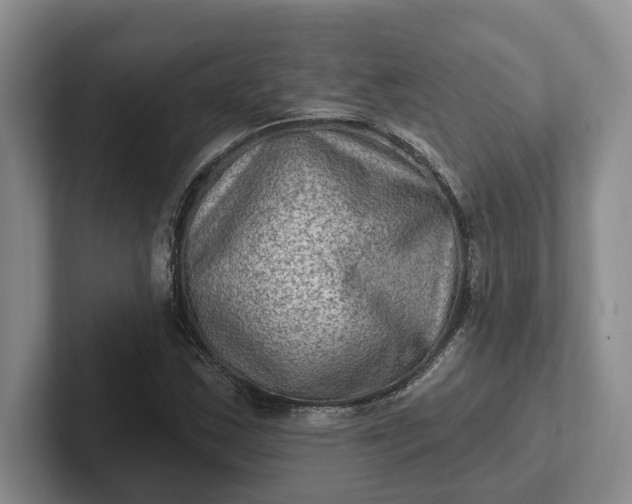 X0000102281163200808081456