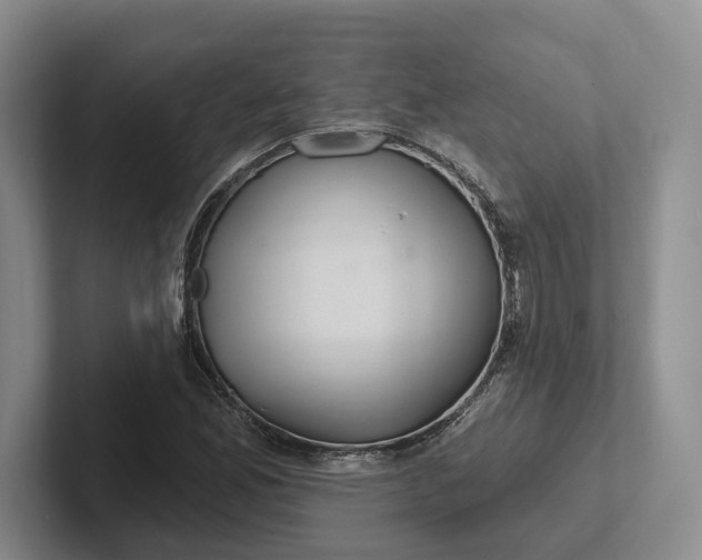 X0000102281165200808081456