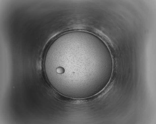 X0000102281166200808081456