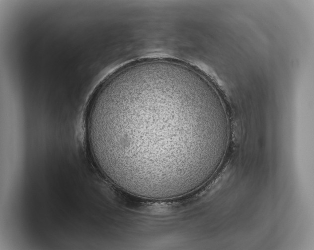 X0000102281167200808081456