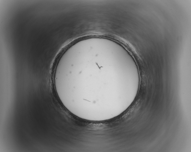 X0000102281168200808081456