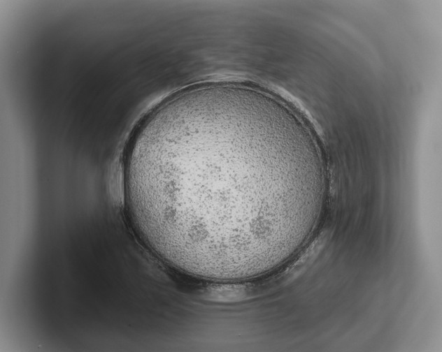 X0000102281171200808081456