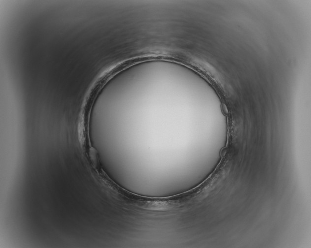 X0000102281172200808081456