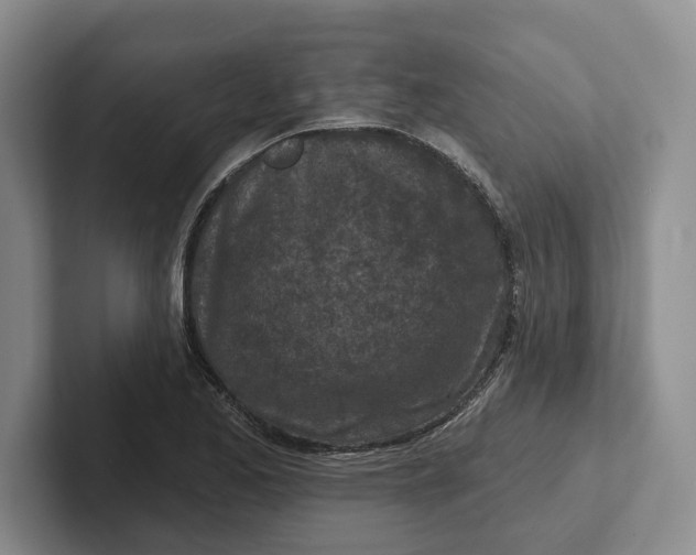 X0000102281173200808081456