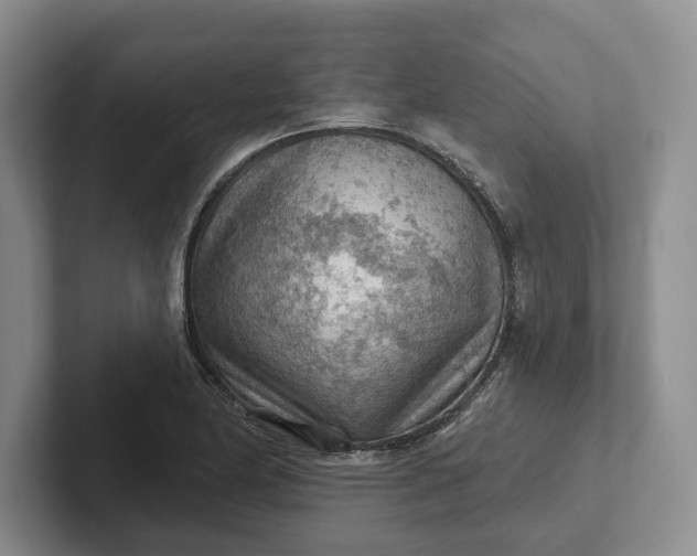 X0000102281174200808081456