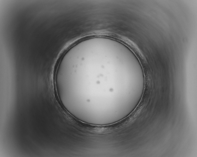 X0000102281176200808081456