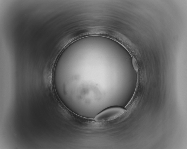 X0000102281177200808081456