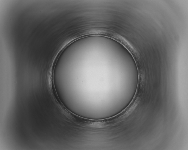 X0000102281178200808081456