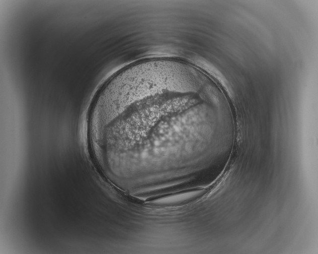 X0000102281179200808081456