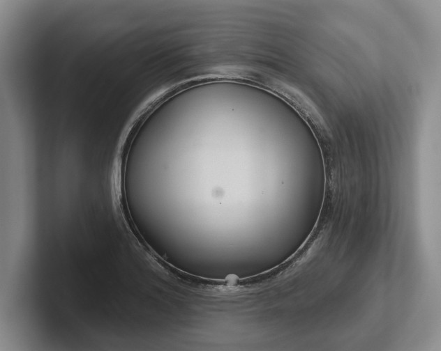 X0000102281180200808081456