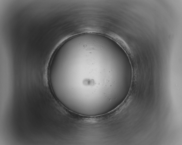 X0000102281182200808081456