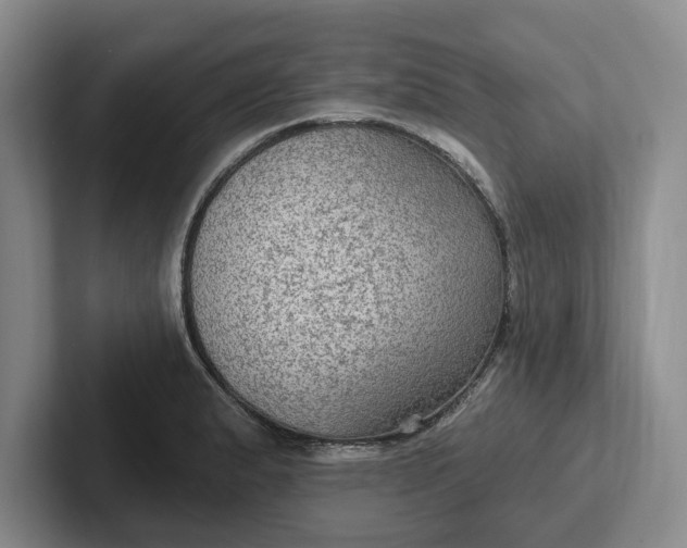 X0000102281183200808081456