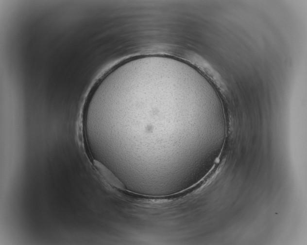 X0000102281184200808081456