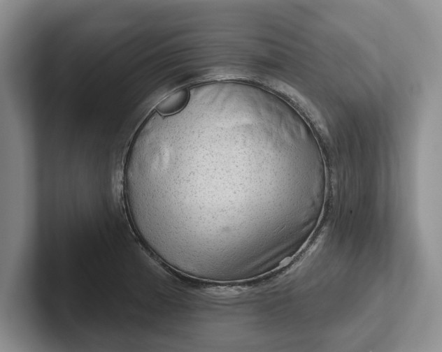 X0000102281185200808081456