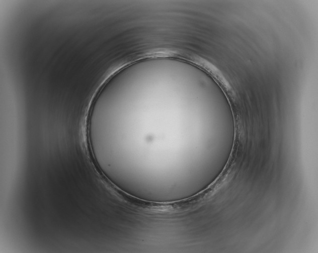 X0000102281186200808081456