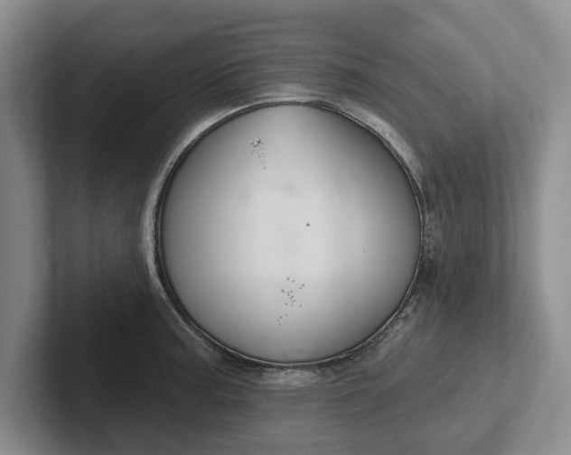 X0000102281187200808081456