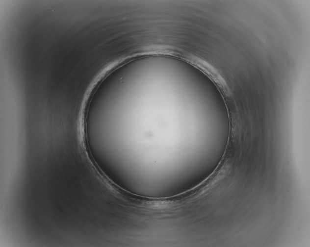 X0000102281188200808081456