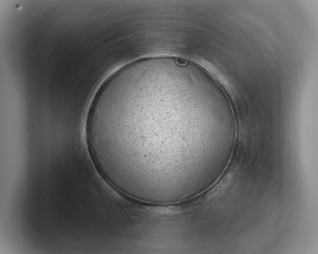 X0000102281189200808081456