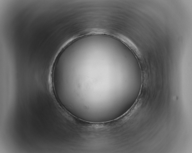 X0000102281190200808081456