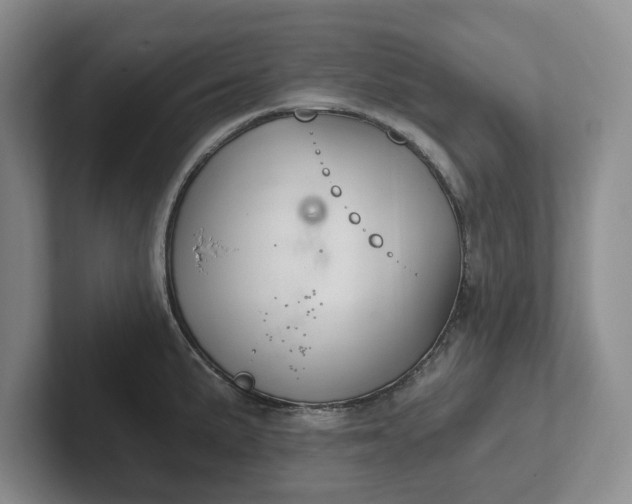 X0000102281191200808081456