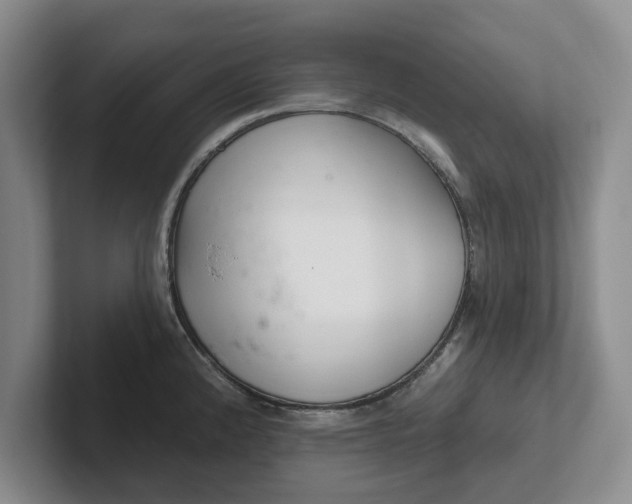 X0000102281192200808081456