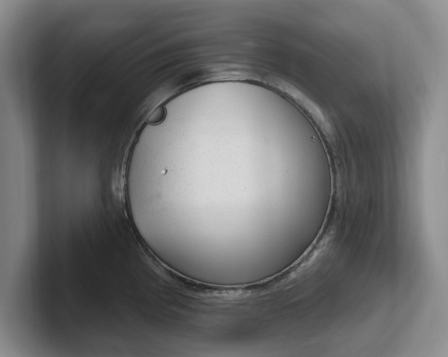 X0000102281193200808081456