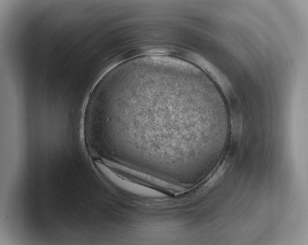 X0000102281194200808081456