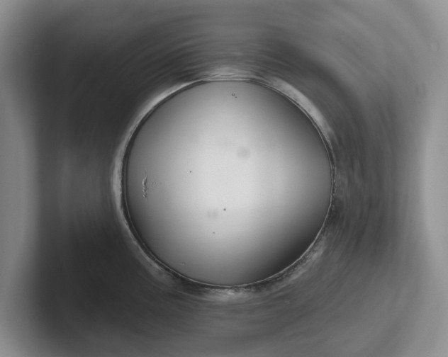 X0000102281195200808081456