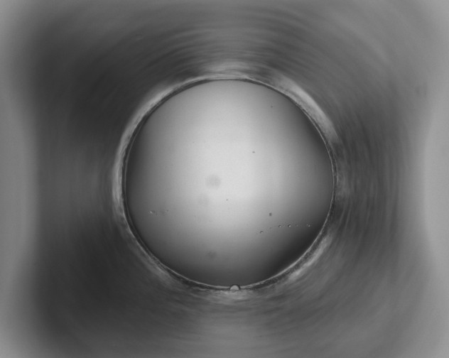 X0000102281196200808081456