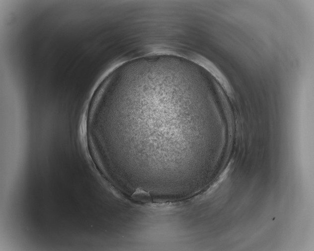 X0000102281198200808081456