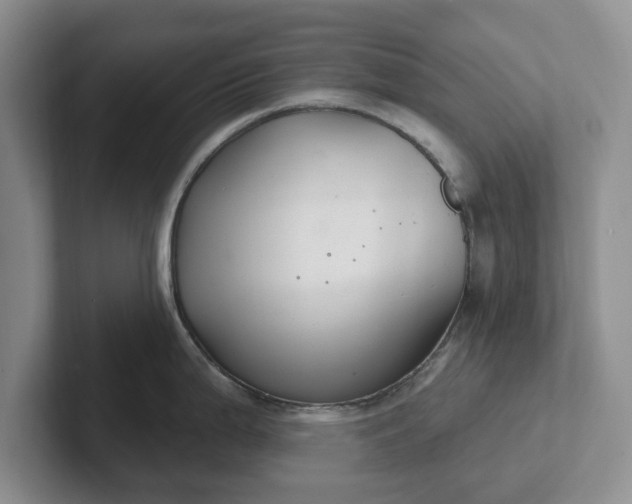 X0000102281199200808081456