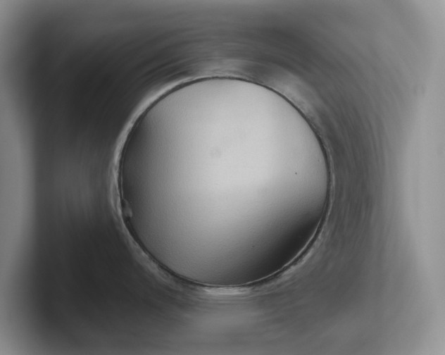 X0000102281200200808081455