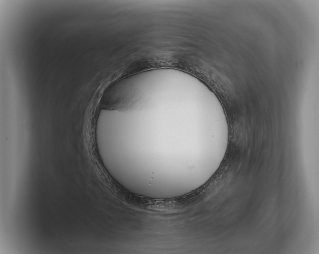 X0000102281201200808081455