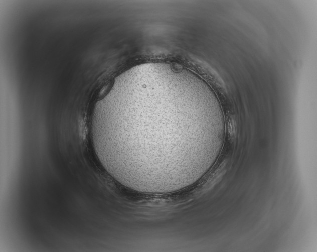 X0000102281204200808081455