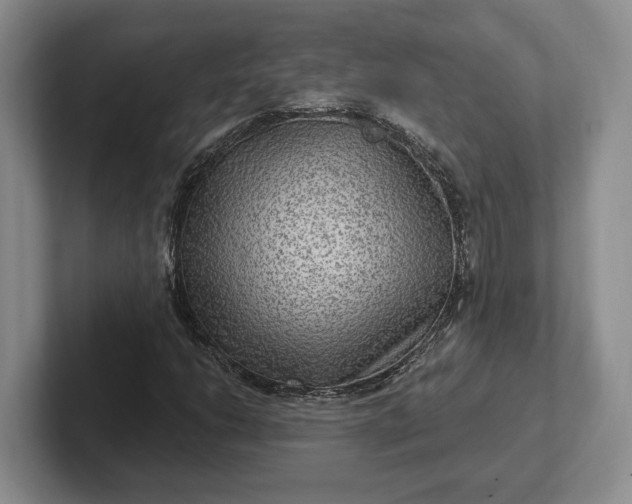 X0000102281206200808081455