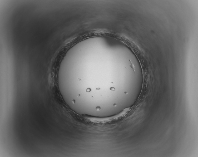 X0000102281207200808081455