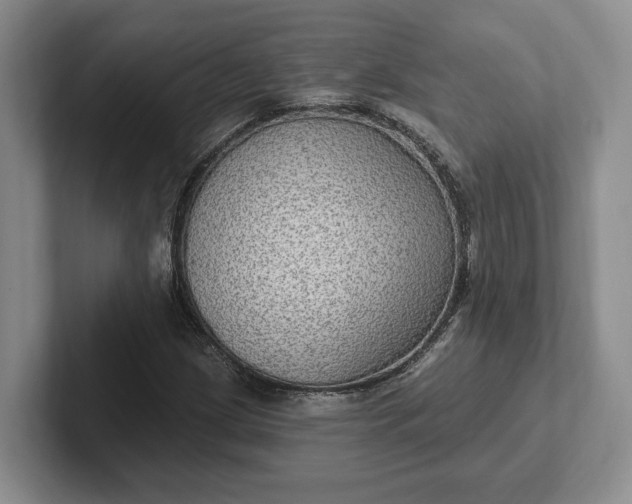 X0000102281209200808081455