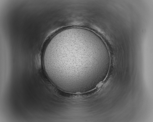 X0000102281214200808081455