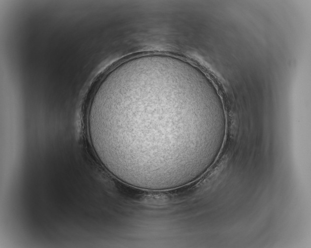 X0000102281215200808081455