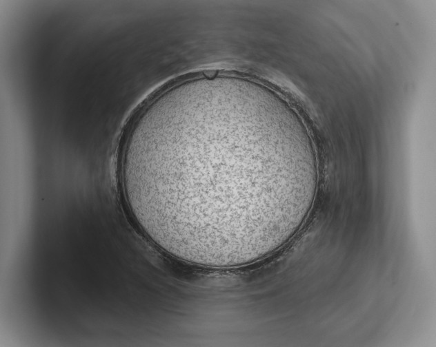 X0000102281216200808081455