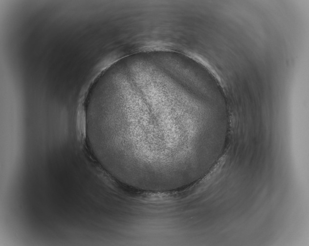 X0000102281219200808081455