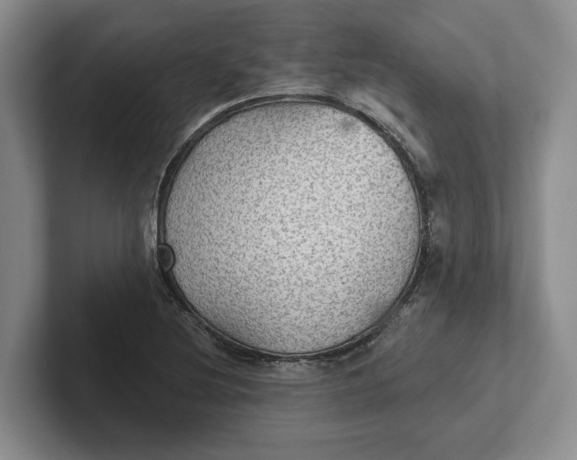 X0000102281220200808081455