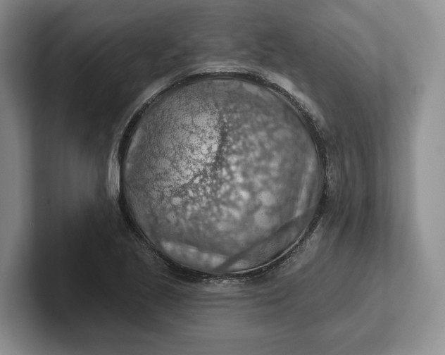 X0000102281221200808081455