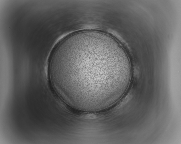 X0000102281222200808081455