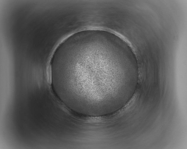 X0000102281223200808081455