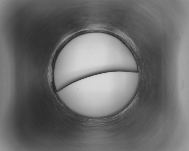 X0000102281224200808081455