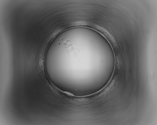 X0000102281225200808081455