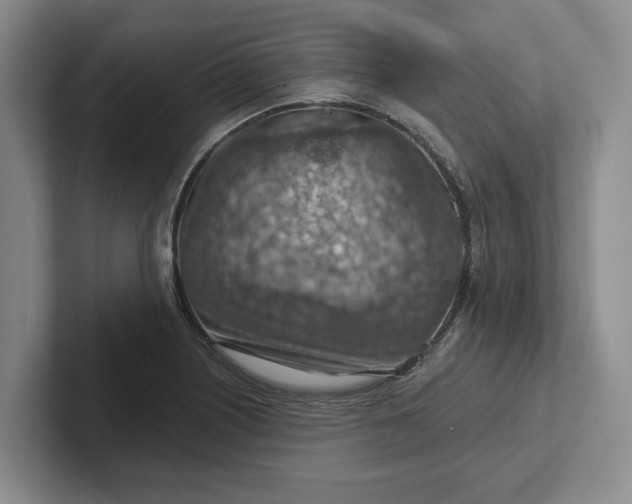 X0000102281226200808081455